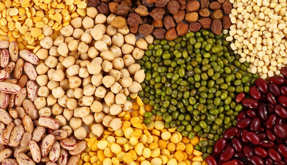 Pulses & Grains